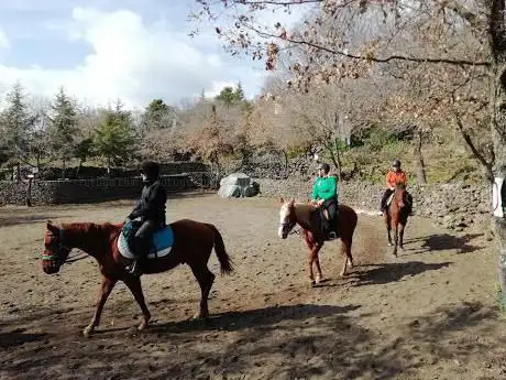 Photo de Etna Houses & Horses