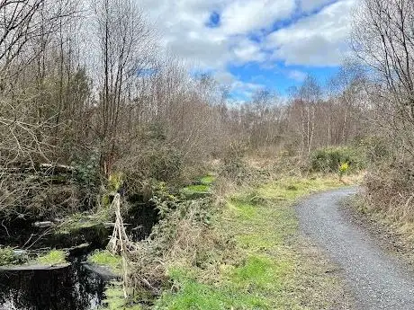 Jamestown Bog Walk