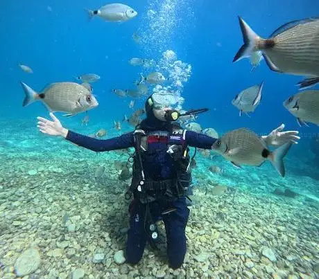 Photo de Bubbles Diving Centre