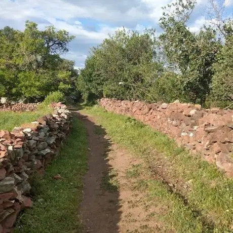 Photo de YAKUP KALFA TÜRBESİ