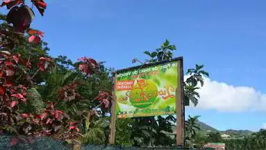 Photo de LION'S PARC