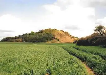 Photo de Butte de Cesar - Tumulus de Tumiac