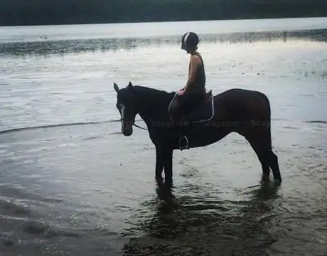 Photo de Canton Equestrian Center