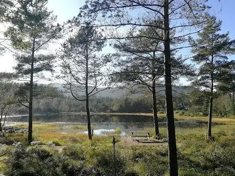 Photo de Rogaland Arboret