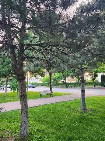 Photo de Park