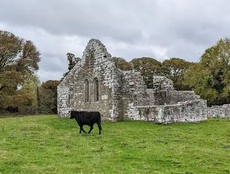 Photo de Inishmaine Abbey