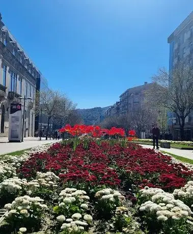 Photo de Avenida da Liberdade