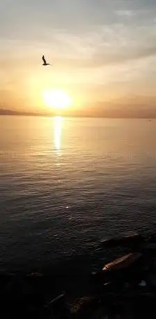 Photo de Kuruçeşme sahil