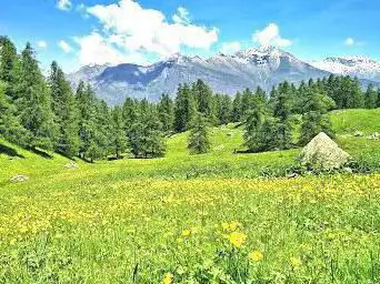 Photo de Parco Naturale Orsiera Rocciavrè