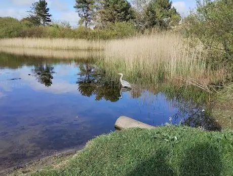 Arklow Duckpond