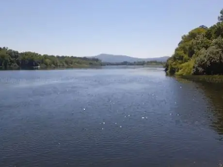 Photo de Rebolinho