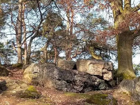 Photo de Steingarten am Münzenberg