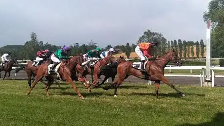 Photo de Hippodrome de Castéra Verduzan