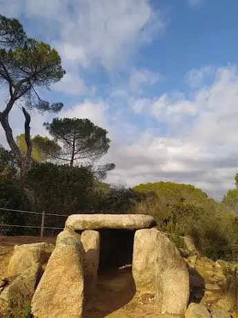 Photo de Dolmen de Ca l'Arenes