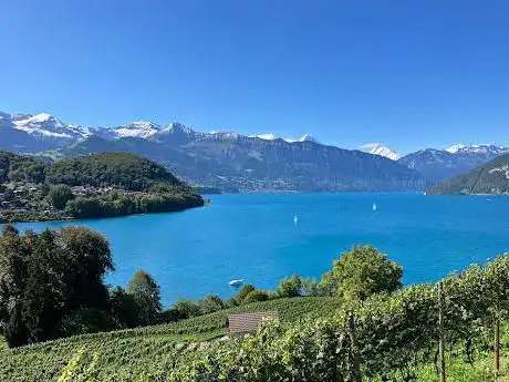Photo de Katzenstein