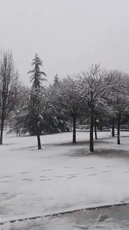 Photo de Parque Alfredo Kraus
