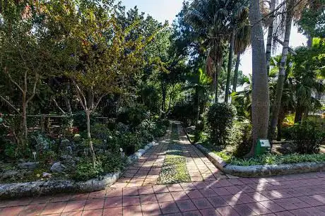 Photo de University Botanical Garden