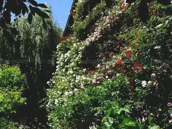 Photo de Riedgarten
