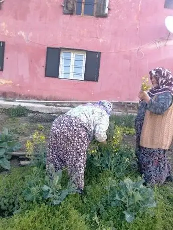 Photo de Ekinözü Deprem Merkez Üssü