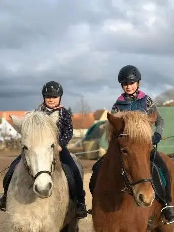Photo de Islandpferde Rezatgrund - Reitanlage Mosbach