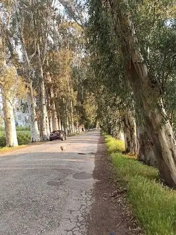 Photo de Aşıklar yolu