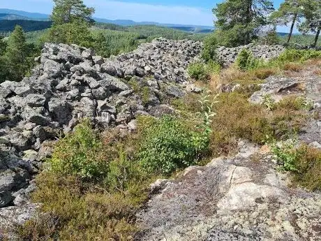Photo de Borgberget