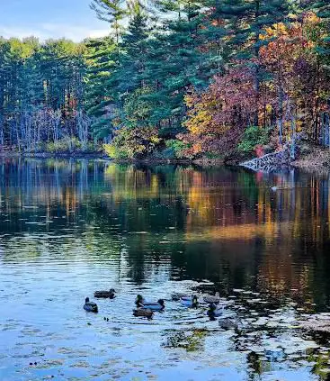 Photo de Ashley Reservoir