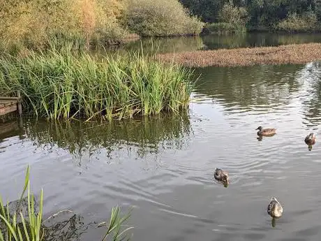 Photo de Christleton Duck Pond