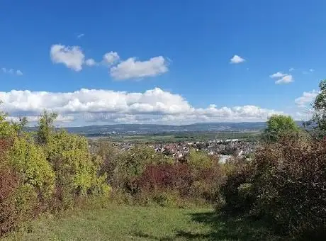 Photo de Gau-Algesheimer Kopf