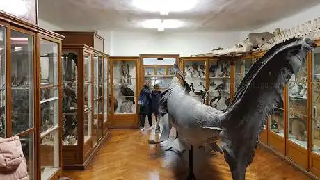 Photo de Croatian Natural History Museum