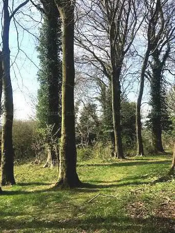 Photo de Old Park Hill Nature Reserve