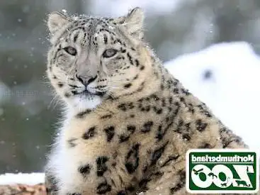 Photo de Northumberland Zoo