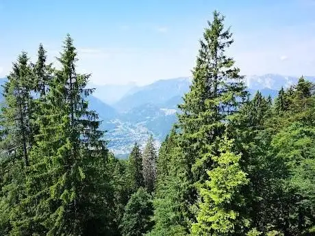 Photo de Trauntalblick