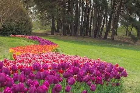 Photo de University Botanical Garden Ecopark Varna