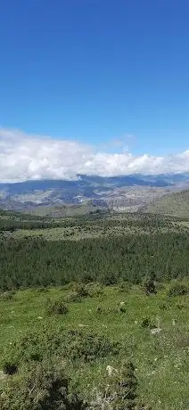 Photo de Şırankes Mesire Alanı