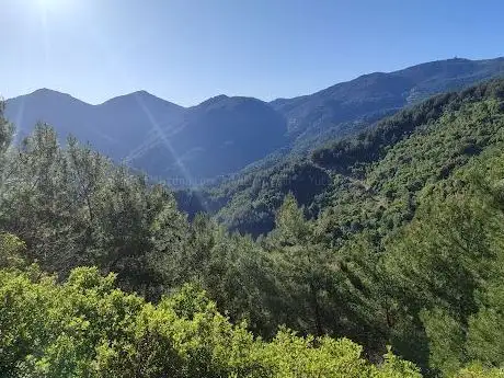 Photo de Behzat Tepesi