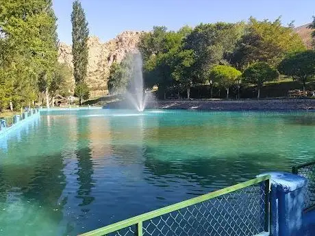 Photo de Şereflikoçhisar Mehmet Aktaş Aile Piknik Alanı