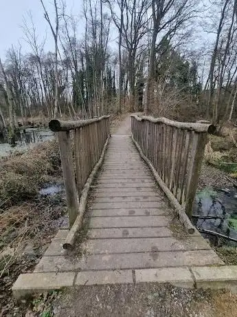 Photo de Birgelener Wald