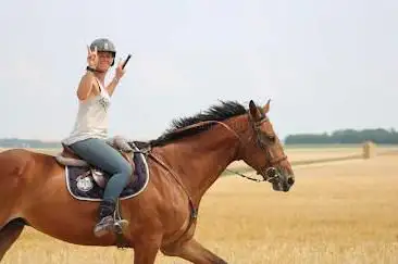 Photo of Les Ecuries De Saponay