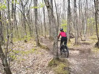 Photo de Forêt domaniale de Fausses-Reposes