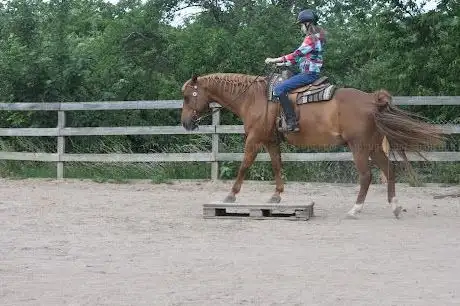 Photo de Pistolero Ranch