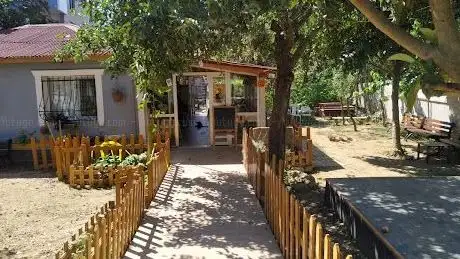 Photo de Sokak Kültür Merkezi