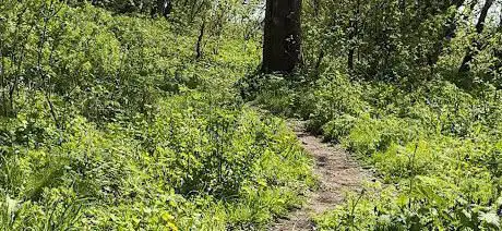 Photo de Cyan MTB Jumps