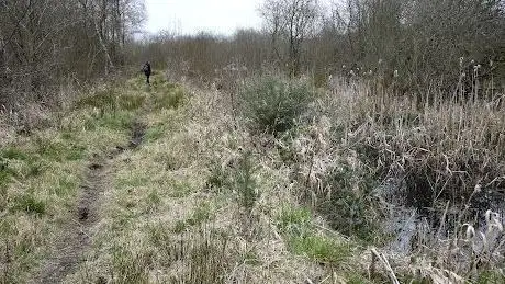 Brackagh Nature Reserve