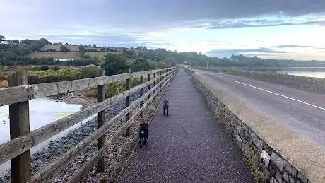 Photo de Kinsale Equestrian Centre