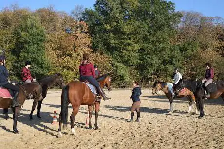 Photo de Centre Equestre la Lisière