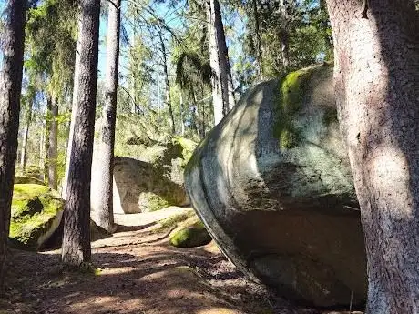 Photo de Mühlstein  Naturdenkmal
