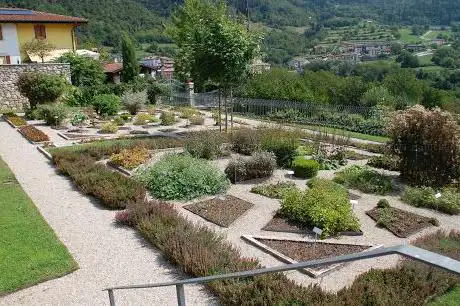 Photo de Orto dei semplici