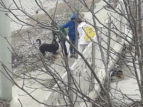 Photo de Yüreğil Köyü Halı Sahası