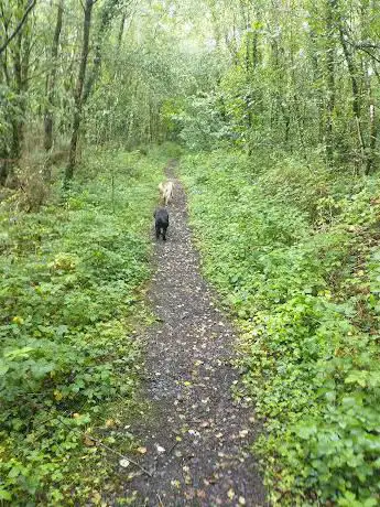 Photo de Mynydd mawr Country park